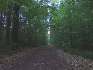 #1: The Confluence from 15 m distance