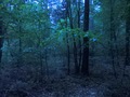 #2: View to the North