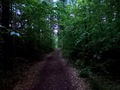 #3: View to the East