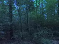 #4: View to the South