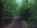 #5: View to the West