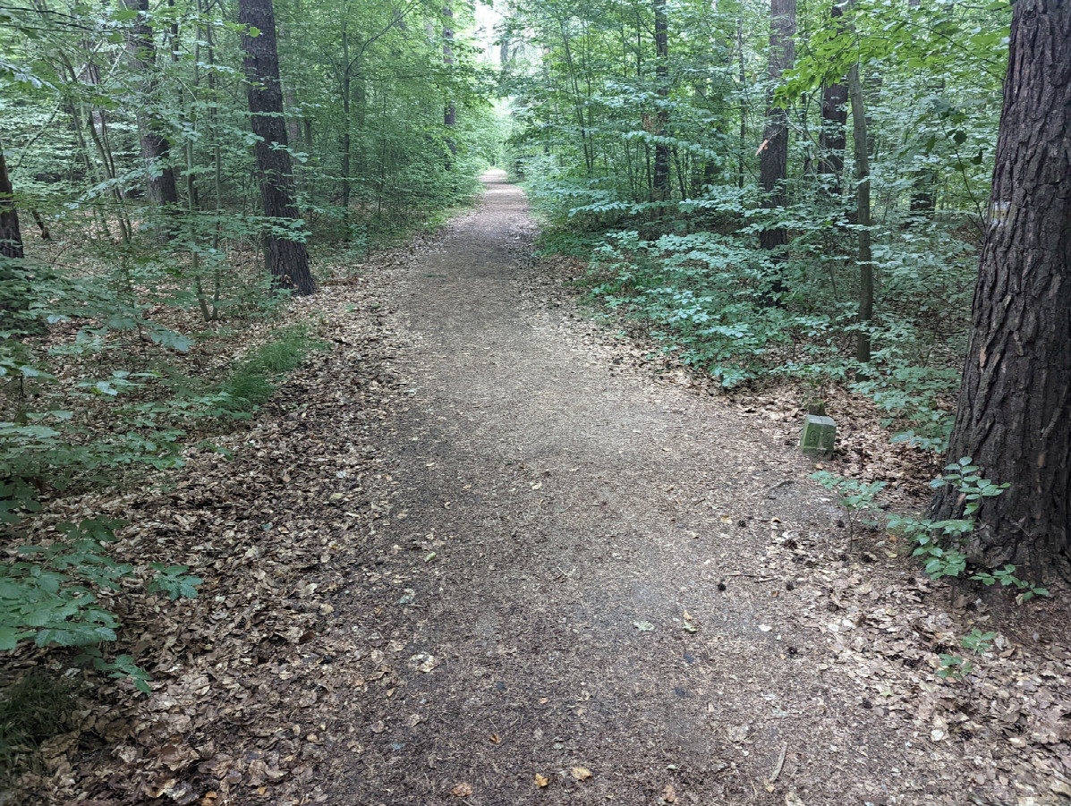 View toward the confluence