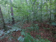#4: View Looking South