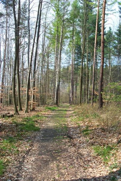 View in western direction / Blick nach Westen