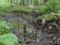 #9: Mud