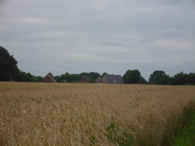 Farms in Estern