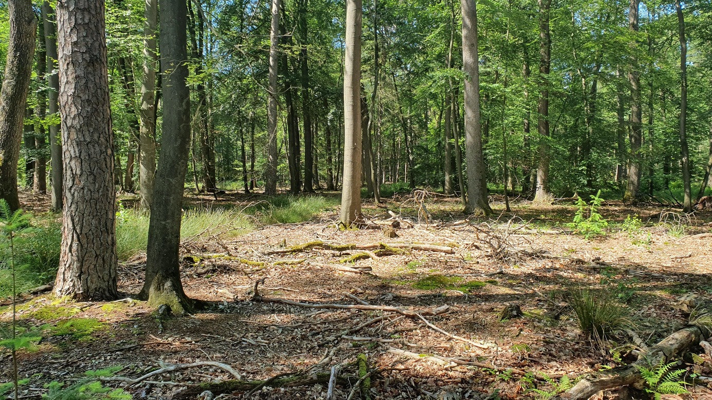 the Confluence Point