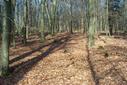 #2: Ausblick vom Confluence-Punkt / View from the confluence point