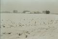 #4: view to southeast