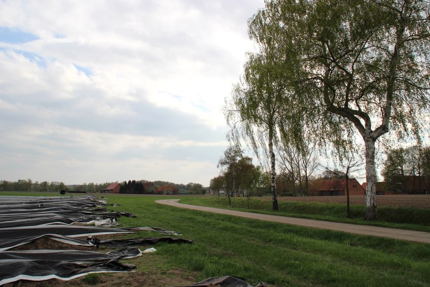 Small farm road to the spot, looking south-west