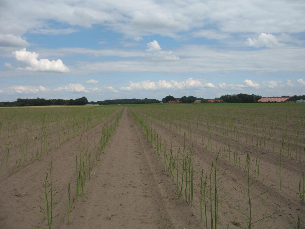 Osten; view east