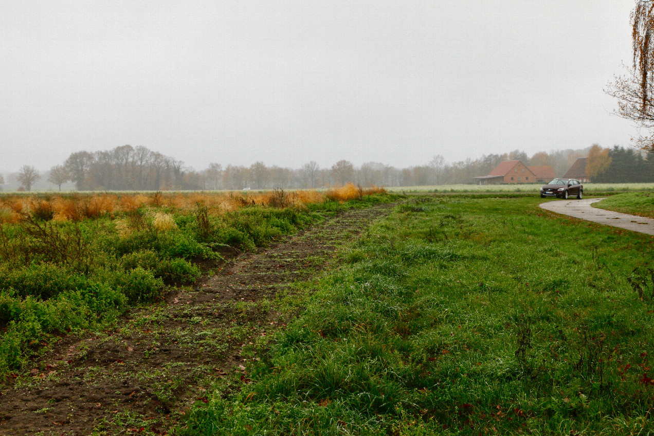 View south, with my car as a landmark