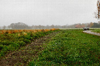 #4: View south, with my car as a landmark