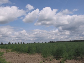 #1: view from the confluence