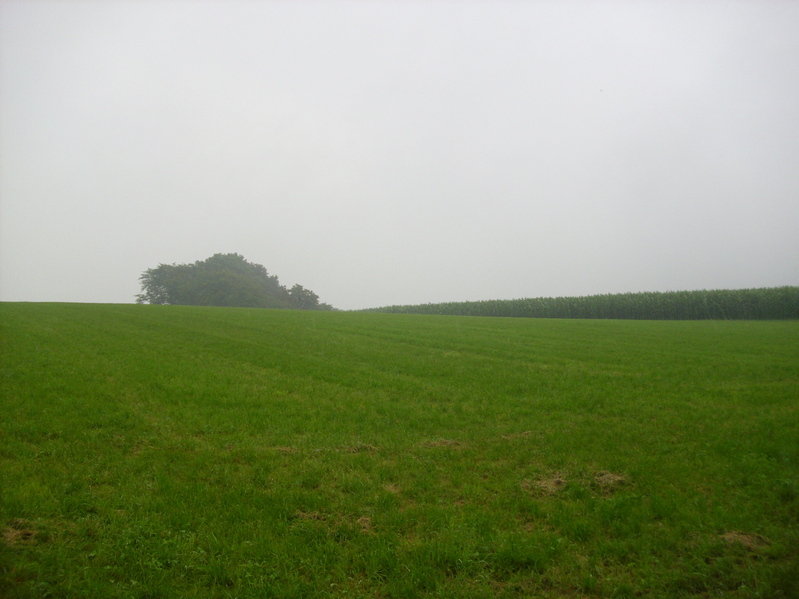 The Confluence Point at a distance of  80 m