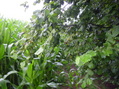 #5: View to the south