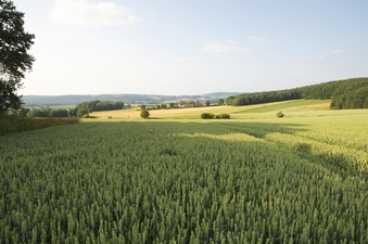 #1: View North