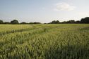 #3: View South