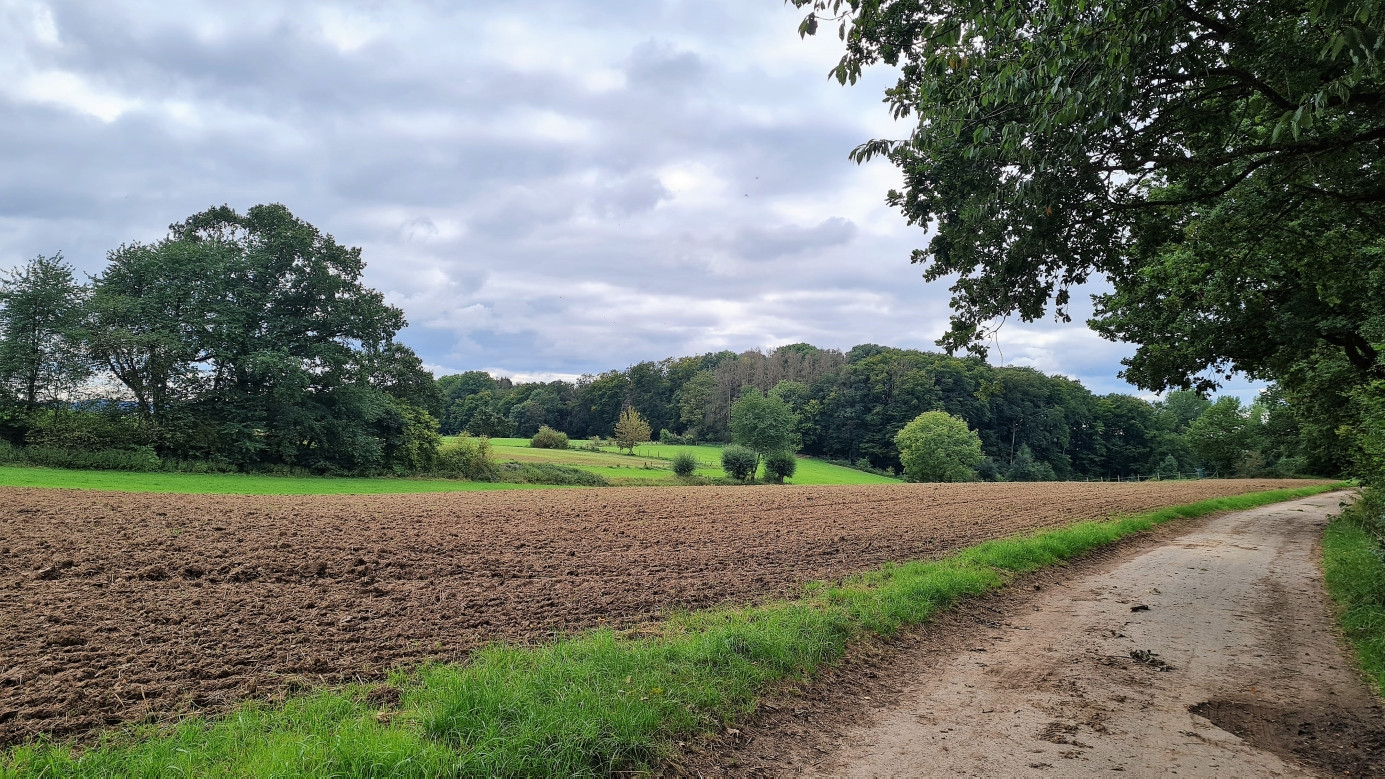 surrounding landscape