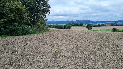 #1: the Confluence Point, view from south, from a distance of 5 meters