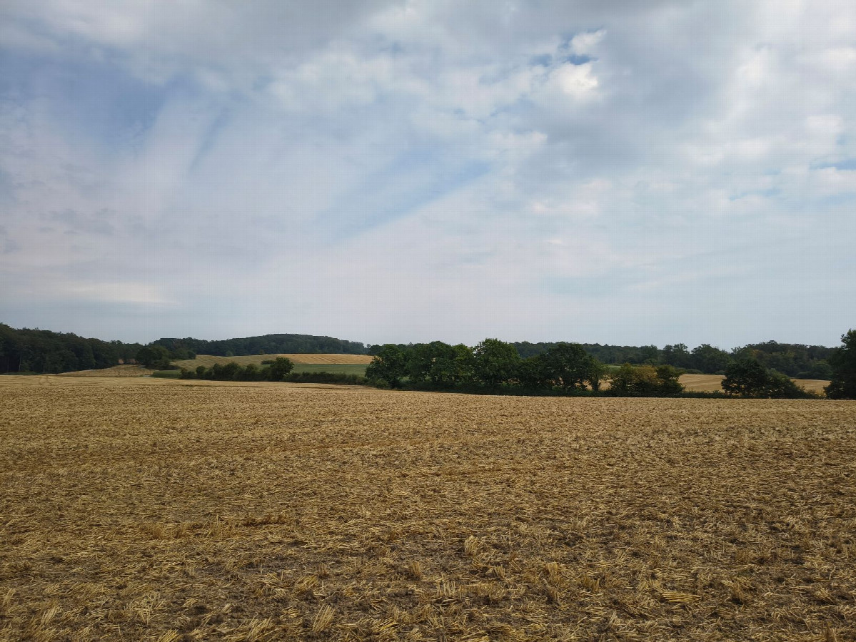 east