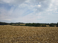 #3: east