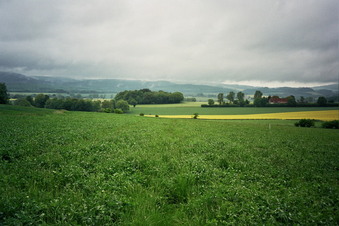 #1: General view of the confluence (towards NW)