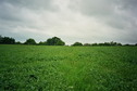 #3: View towards SE from the confluence