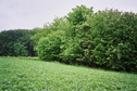 #4: View towards SW from the confluence