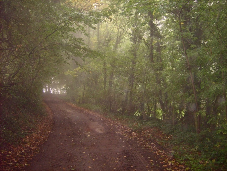 Weg bei etwas Nebel / The way with a little bit of fog