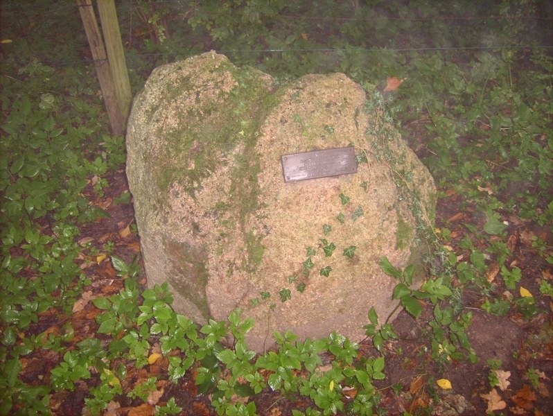Stein am Weg / Memorial stone on the way
