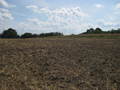 #8: View South