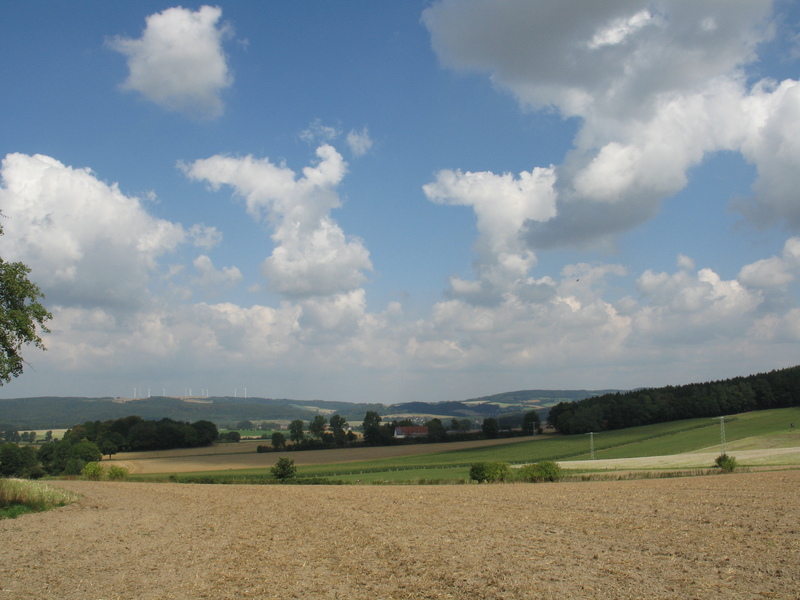 view from the confluence