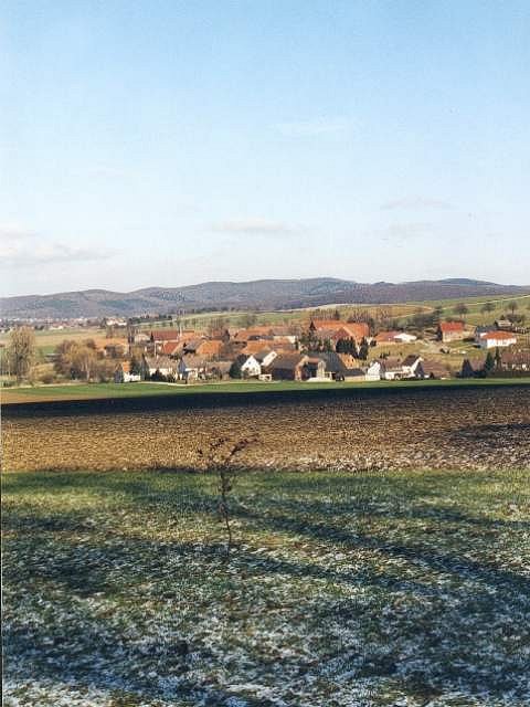 The Ceremonial Confluence Tree marks the spot, view to the northeast, the small village of Evensen is in the background