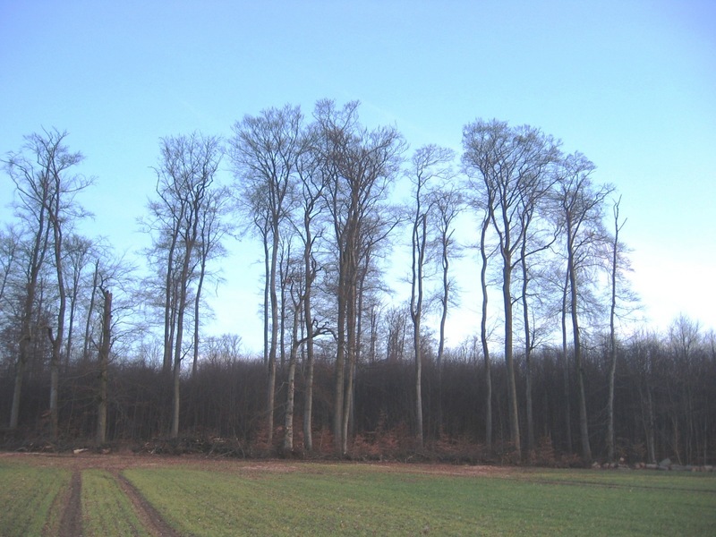 View to the South