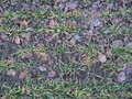 #3: Ground Zero