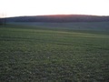 #6: View to the West