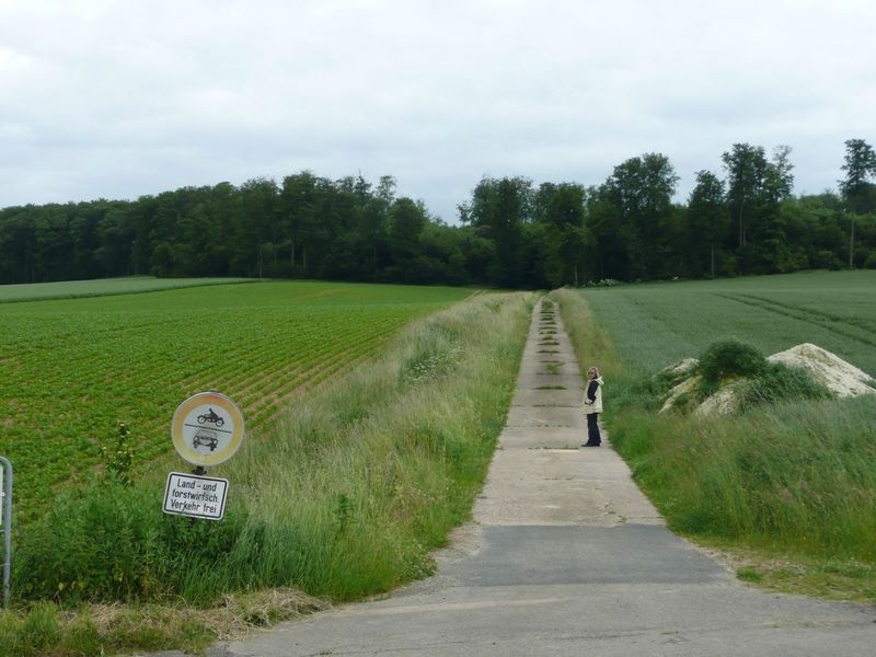 Path leading to confluence
