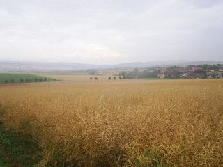 #1: View to the north