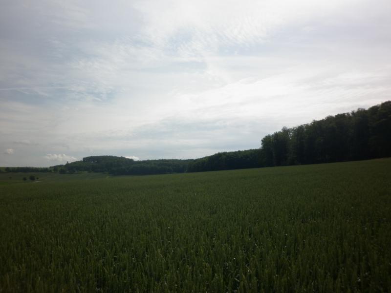 Ost/East