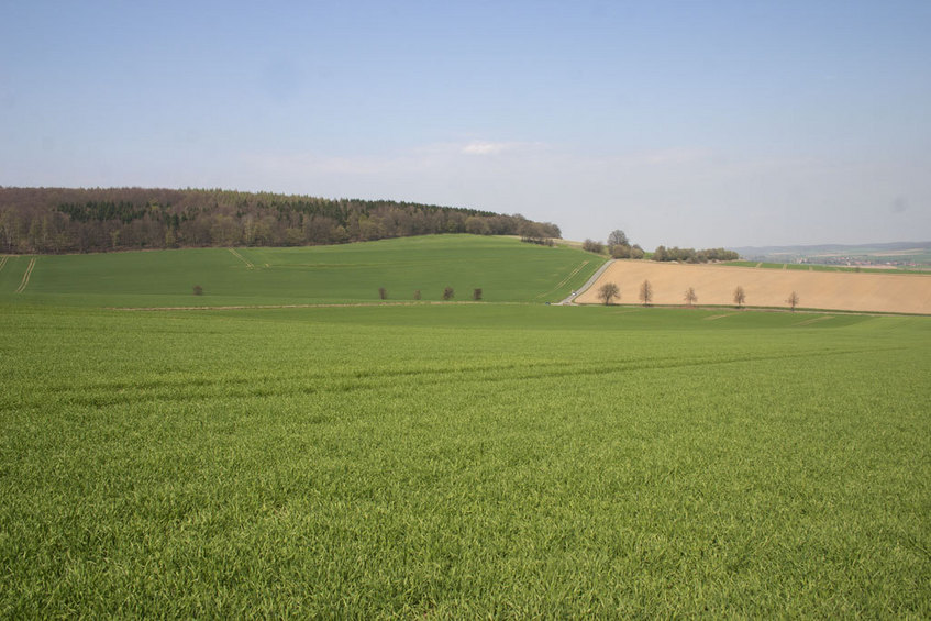 View West