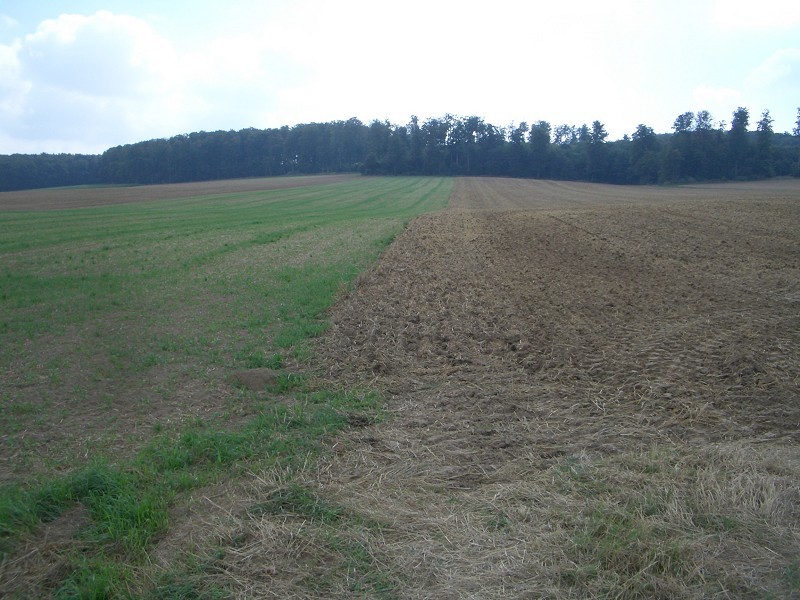 The confluence of 52° North and 10° East at 400 m in the left part of the green field 