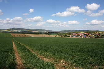 #1: Landscape direction N, showing the confluence point in the foreground