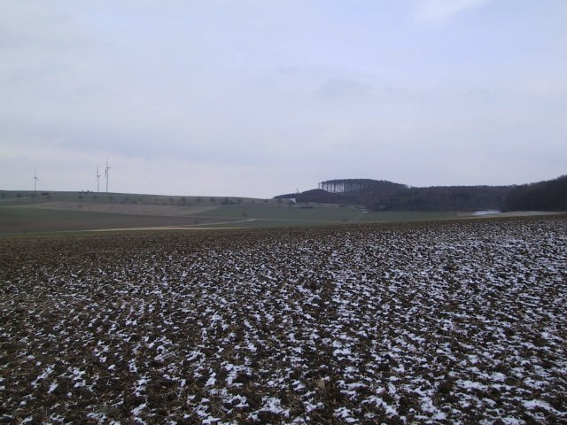 East view, some wind generators and the nice muddy field the confluence is on