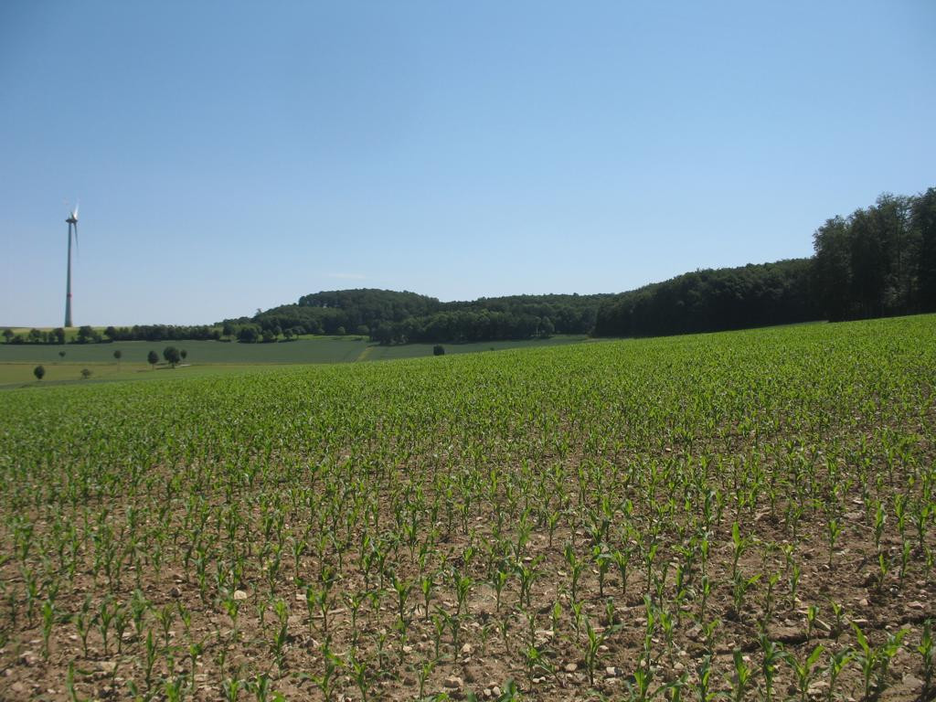 Osten; view east