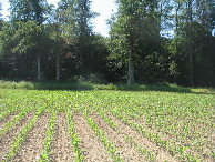 #3: Süden; view south