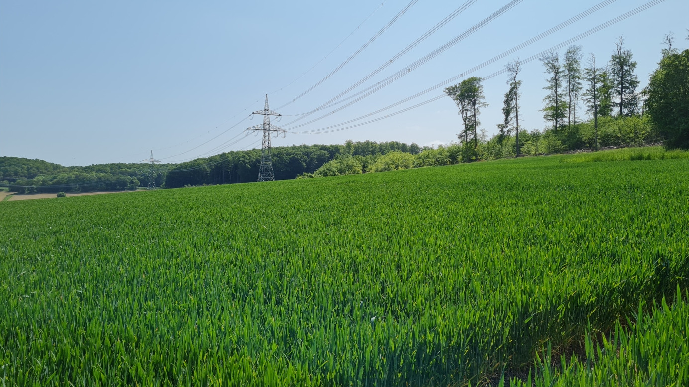 View to the East