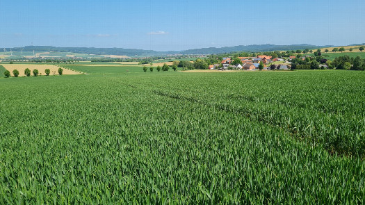 #1: the Confluence Point, view from south, distance 10 m