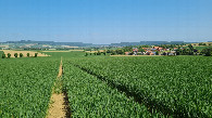 #2: View to the North