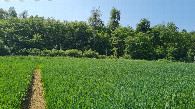#4: View to the South